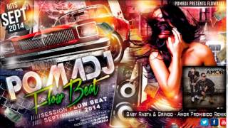 Baby Rasta &amp; Gringo - Amor Prohibido Extended Remix 2014 PomaDJ