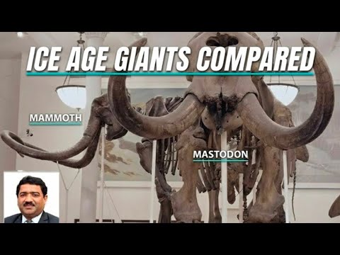 Ice Age Titans Compared | Mammoth vs Mastodon@ZooSphere786 