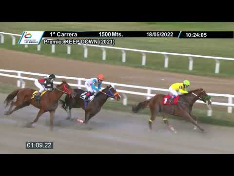 220518 c01 - DANZA MAESTRA - HIPODROMO LAS PIEDRAS