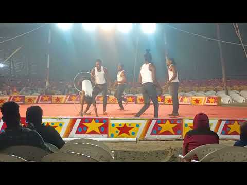 African Monkey Circus 🎪🛟🎪🛟🤧🎪.