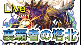 [モンストライブ配信]   裏覇者の塔　オーブ回収！