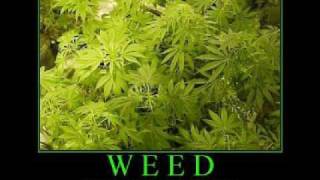 Cephalic Carnage- The Omega Point