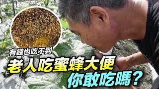 [問卦] 蜜蜂會不會大便在蜂巢裡