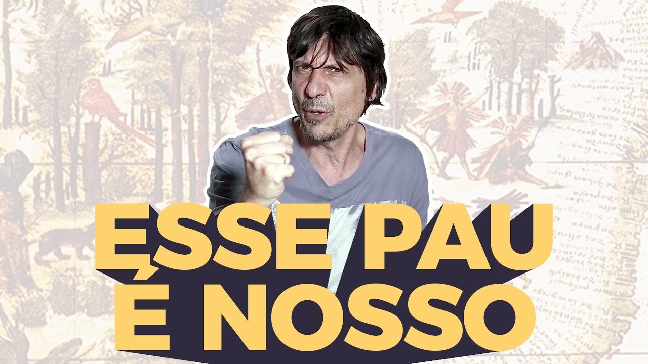 The wood that made us Brazilians