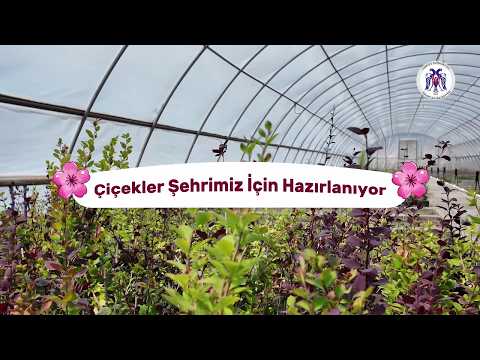 Çiçekler Şehrimiz İçin Hazırlanıyor 05.06.2026