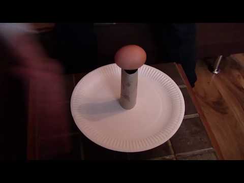 Kids science - Gravity challenge - stay at home