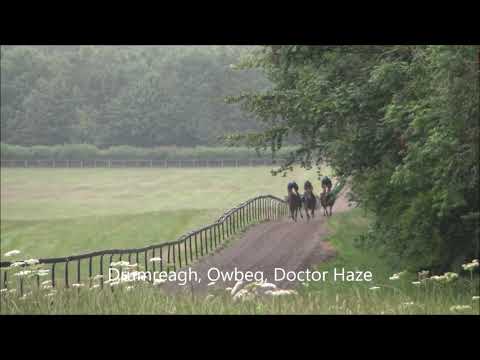 First Lot 15 07 2020