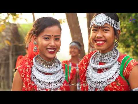 Exploring Bardiya National Park – Nepal’s Untamed Wilderness