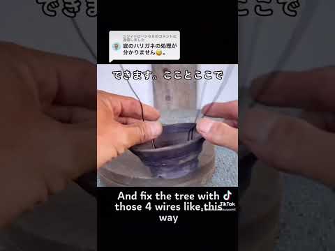 盆栽の手入れ方法は？初心者のためのガーデニングガイド！  庭園