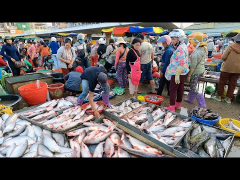 Wow, Ever Seen Cambodia Fish Market Scenes - Morning Daily Life, Vendors, Buyers - Fish Market