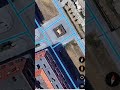 Found Giant Golden Turtle Shorts Shortvideo Shortsfeed
