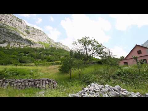 Gofile Papleka-Kange per Don Pecen (HD)