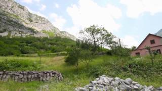 Gofile Papleka-Kange per Don Pecen (HD)