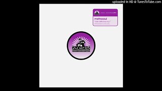 Metrosoul - Iries  Delay