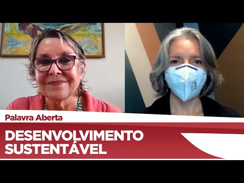 Erika kokay fala da importância das diretrizes do desenvolvimento sustentável dos povos tradicionais