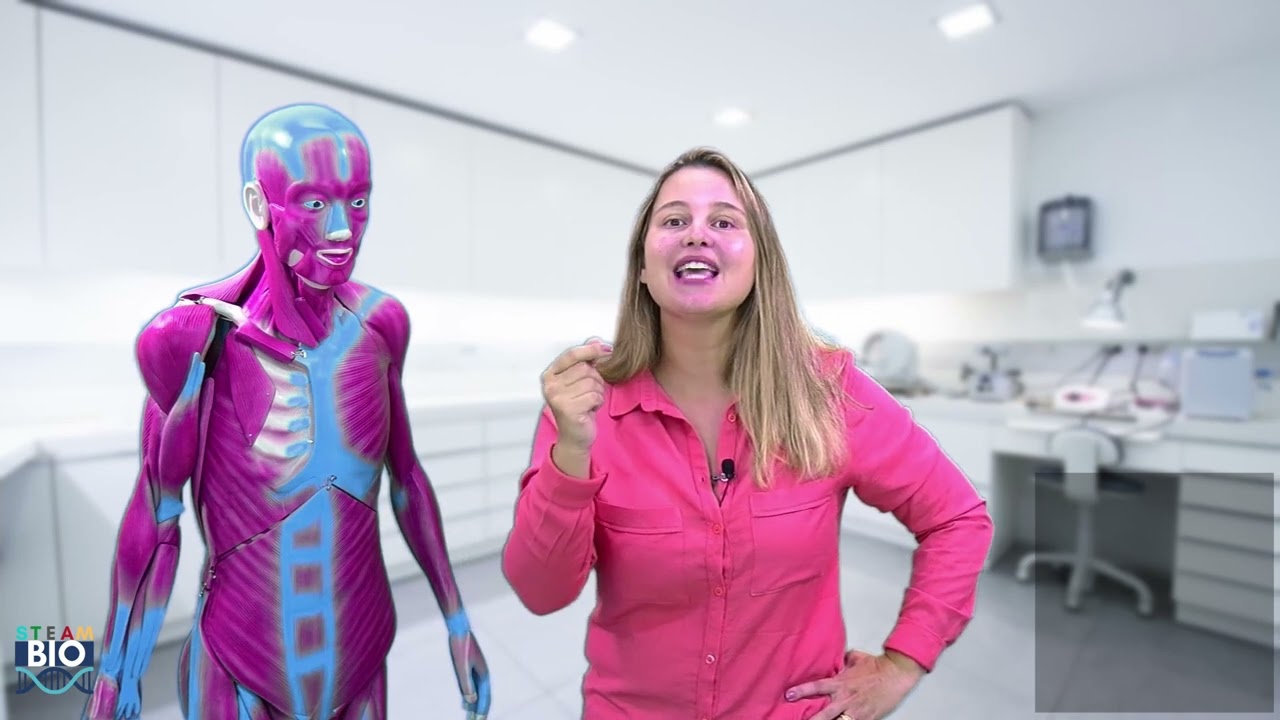 O Que é Anatomia E Fisiologia Humana