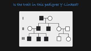 Y-Linked Traits in a Pedigree