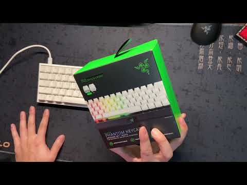 OhpinyaNATED #14 Razer Phantom Keycaps Review