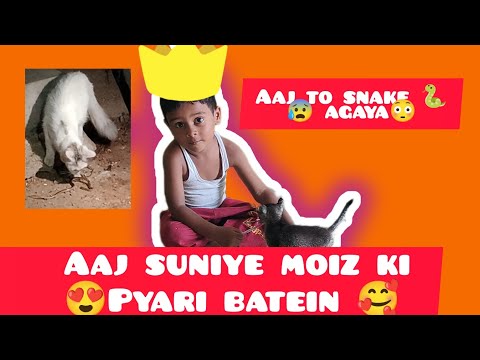 🐍(snake)aya ghar k pas😳aur ek gud news😊aj suno moiz ki pyari pyari  batein🥰#arshiyasvlogs#snake#cat