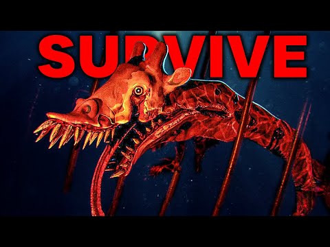 ZOOCHOSIS IS ABSOLUTELY TRAUMATIZING...