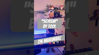 Download lagu “Schism” by TOOL - ON MARIMBA! #shorts #marimba #percussion #tool #dannycarey #fyp #drums mp3 Download lagu “Schism” by TOOL - ON MARIMBA! #shorts #marimba #percussion #tool #dannycarey #fyp #drums mp3