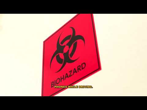 Complete Guide: Robins vs Sharks - The Real Danger Explained