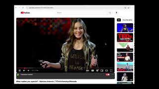 transparrot - a AI-powered youtube translate tool