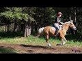 Bianca Linder Equestrian Institute Horse Trials Spring 2019