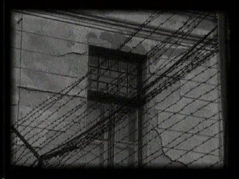 Memorialul Durerii 4