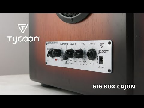 Tycoon 29 Series Electric Gigbox Practice Cajon Drum w/ Guitar Amp image 3