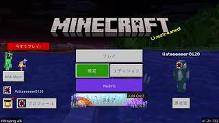 [マイクラ]ハードコアエンドラ討伐をしちゃう