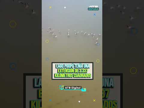 🌊Sequía en el lago Poopó: Comunidades abandonan la pesca🎣