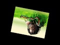 Luciano (Louie Culture&Terror Fabulous) In This Thing Together