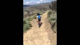 Oscar on "Our Backyard Trail" at Beaver Creek Point, Avon, Colorado.