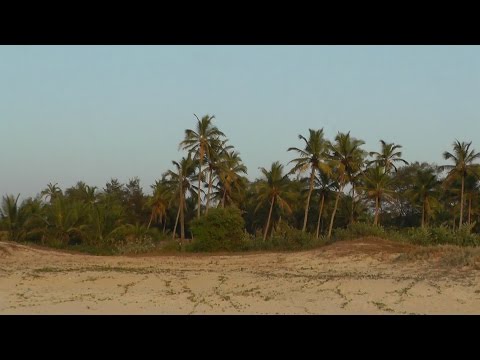 От Joecons beach resort до пляжа