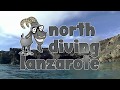 Northdiving Lanzarote Landing Video, Northdiving Lanzarote, Arrieta, Lanzarote, Spanien, Kanaren (Kanarische Inseln)