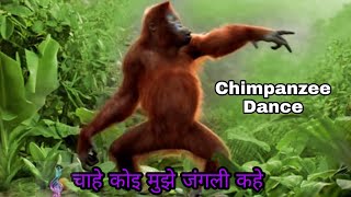 Download lagu Chahe koi mujhe Junglee kahe Chimpanzee latest dan... mp3