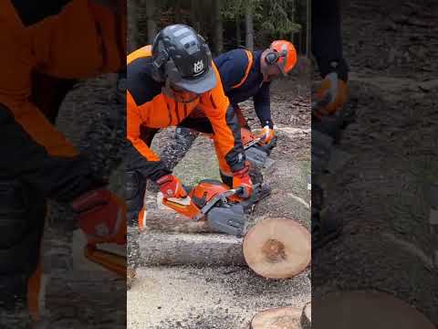 CHAINSAW HUSQVARNA 564XP🇸🇪 VS HUSQVARNA 572XP new powerful model #motorsäge #kettensäge #láncfűrész
