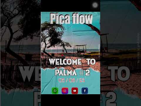 pica  flow welcome to palma #2 amapiano