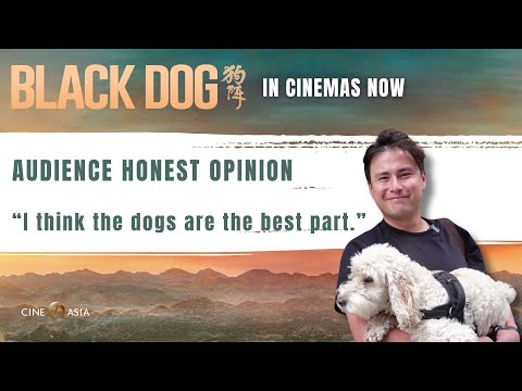 UK Dog-owner Audience Honest Opinion