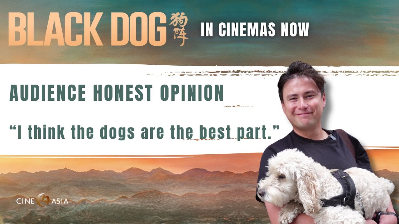 UK Dog-owner Audience Honest Opinion