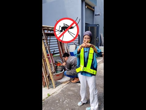 Aedes Mosquito Fogging - Klang