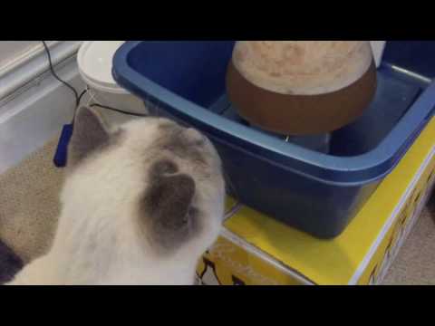 HBW Vlog23 - Drop Kick Nate Brew day