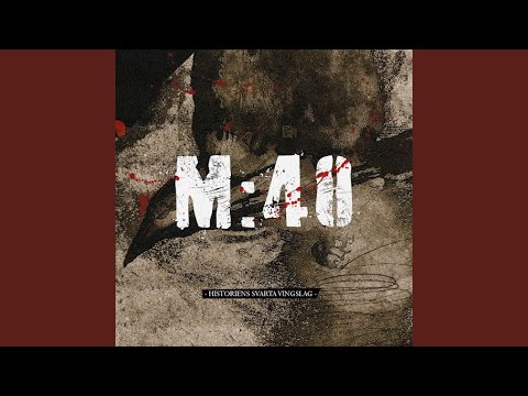 Historiens svarta vingslag