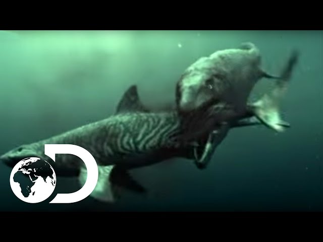 Mosasaur Shark Attack - Reign of the Dinosaurs
