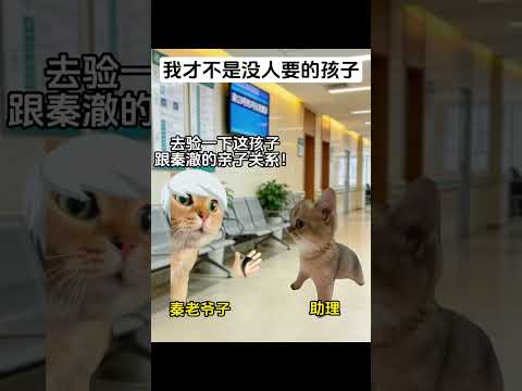 我才不是没人要的孩子 #猫meme #内容过于真实 #funny