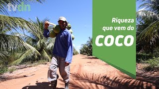 Miniatura do vídeo