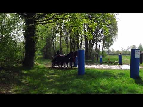 Fahrturnier Wettringen 22.4.2018