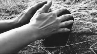 The Charm Offensive - Alive and Divided (Official Video)