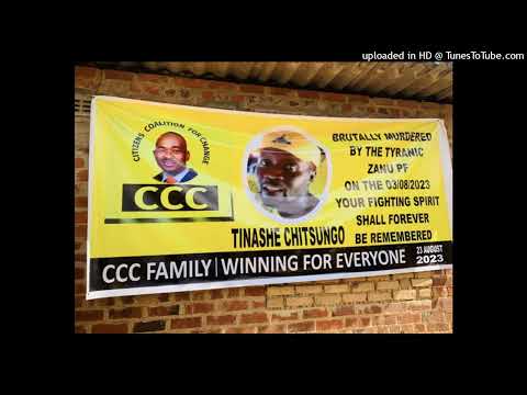 Power Killer Changamire Chamisa[Dzepfunde Riddim pro by Boss Dollar